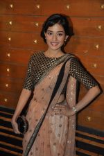 Amrita Rao at Filmfare Awards Red Carpet 2014 on 24th Jan 2014